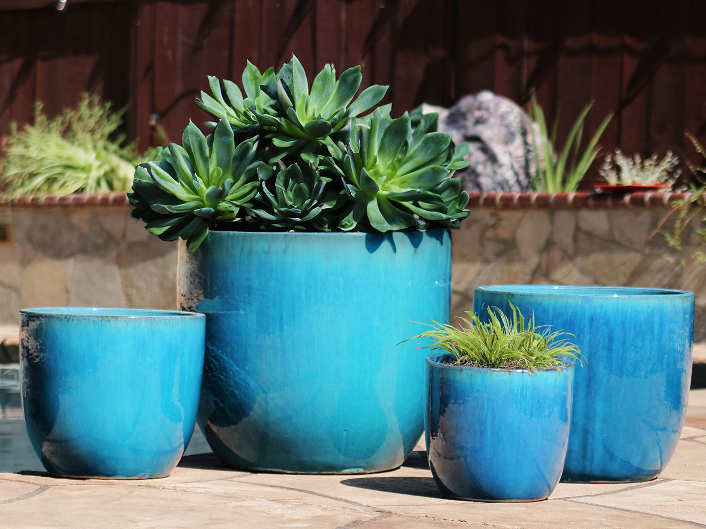 Egg Shell Pots - Set of 4 By Plantatorem
