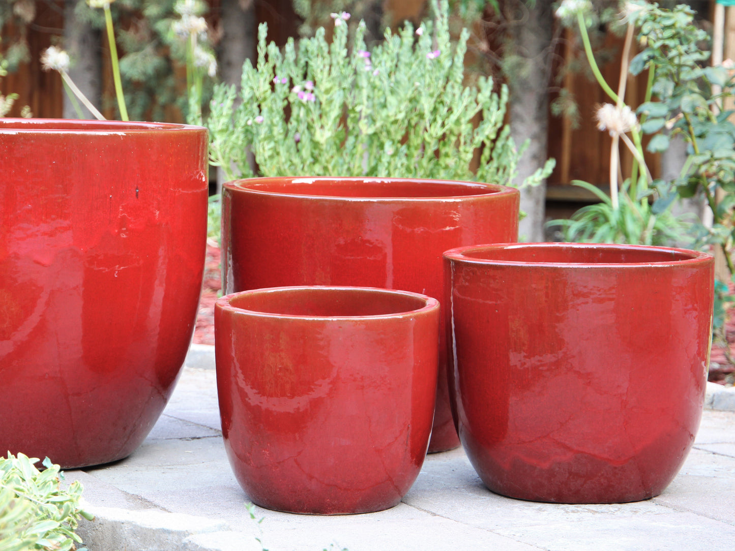 Egg Shell Pots - Set of 4 By Plantatorem