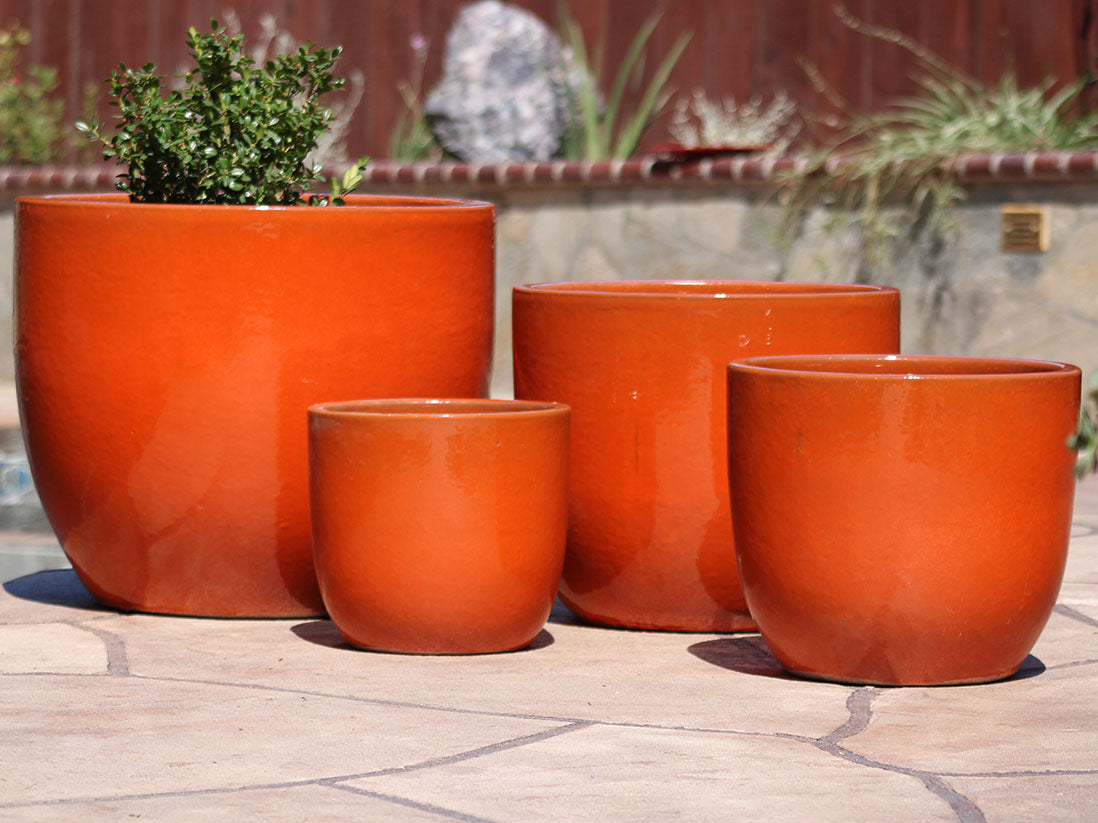 Egg Shell Pots - Set of 4 By Plantatorem