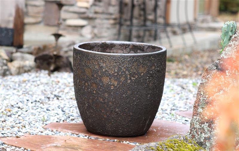 Egg Shell Pots - Set of 4 By Plantatorem
