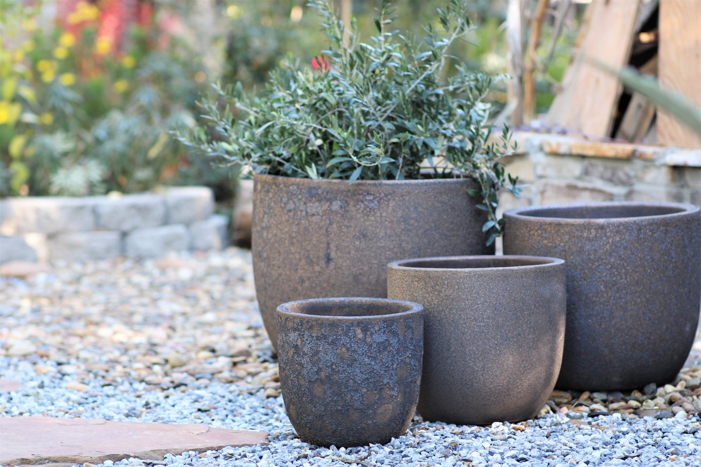 Egg Shell Pots - Set of 4 By Plantatorem