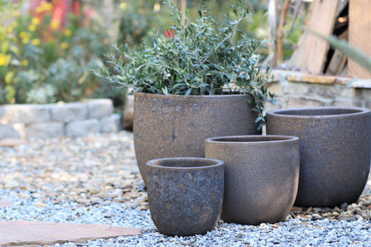 Egg Shell Pots - Set of 4 (Silver Rock) By Plantatorem
