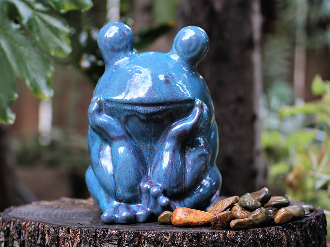 Thinking Frog By Plantatorem