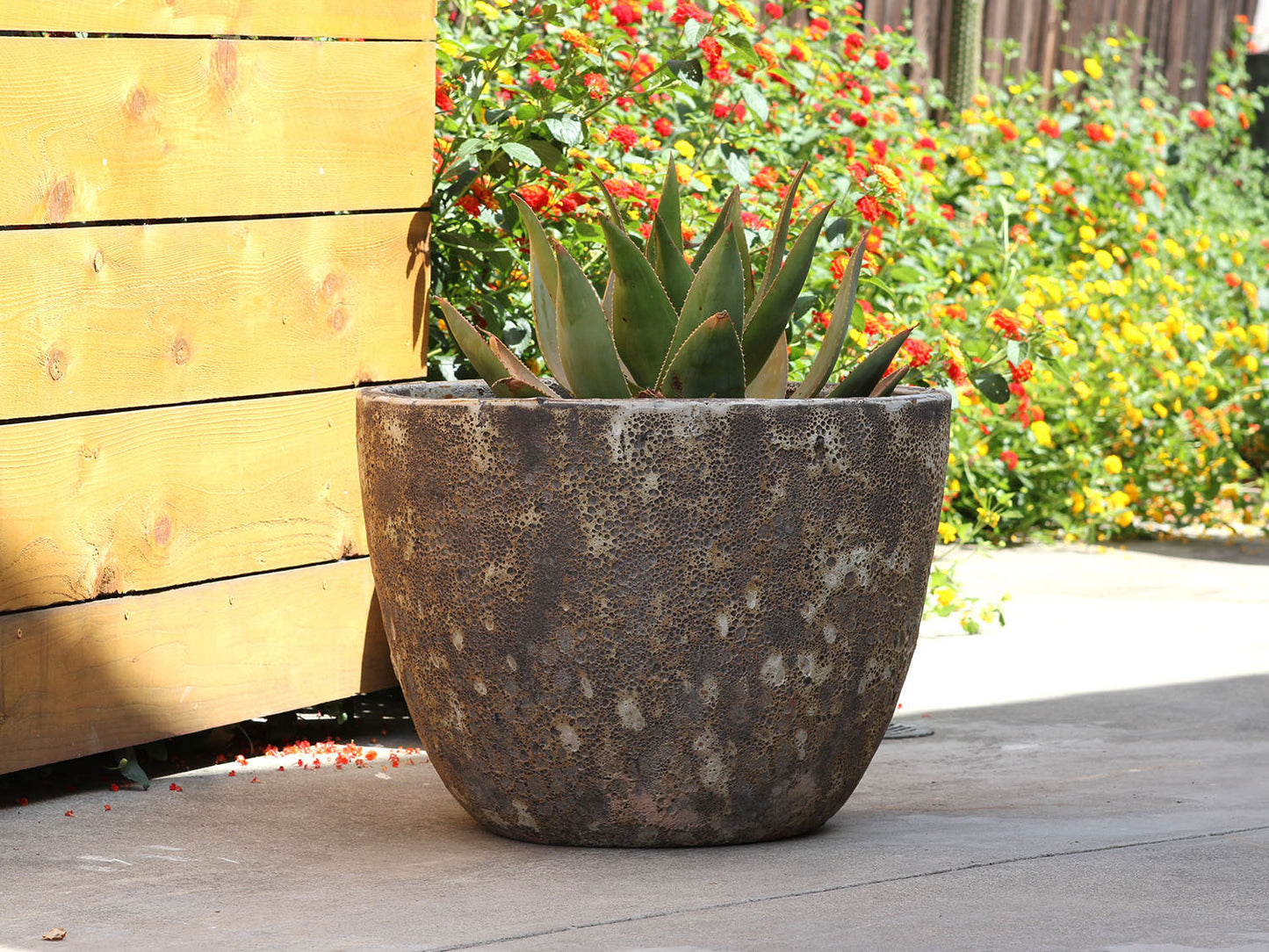 Rimless Parco Planter - Set of 4 By Plantatorem
