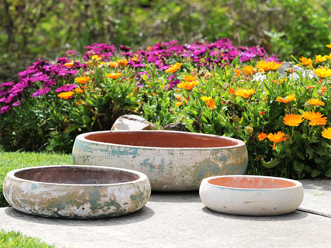 Succulent Bowl-Set of 3 By Plantatorem
