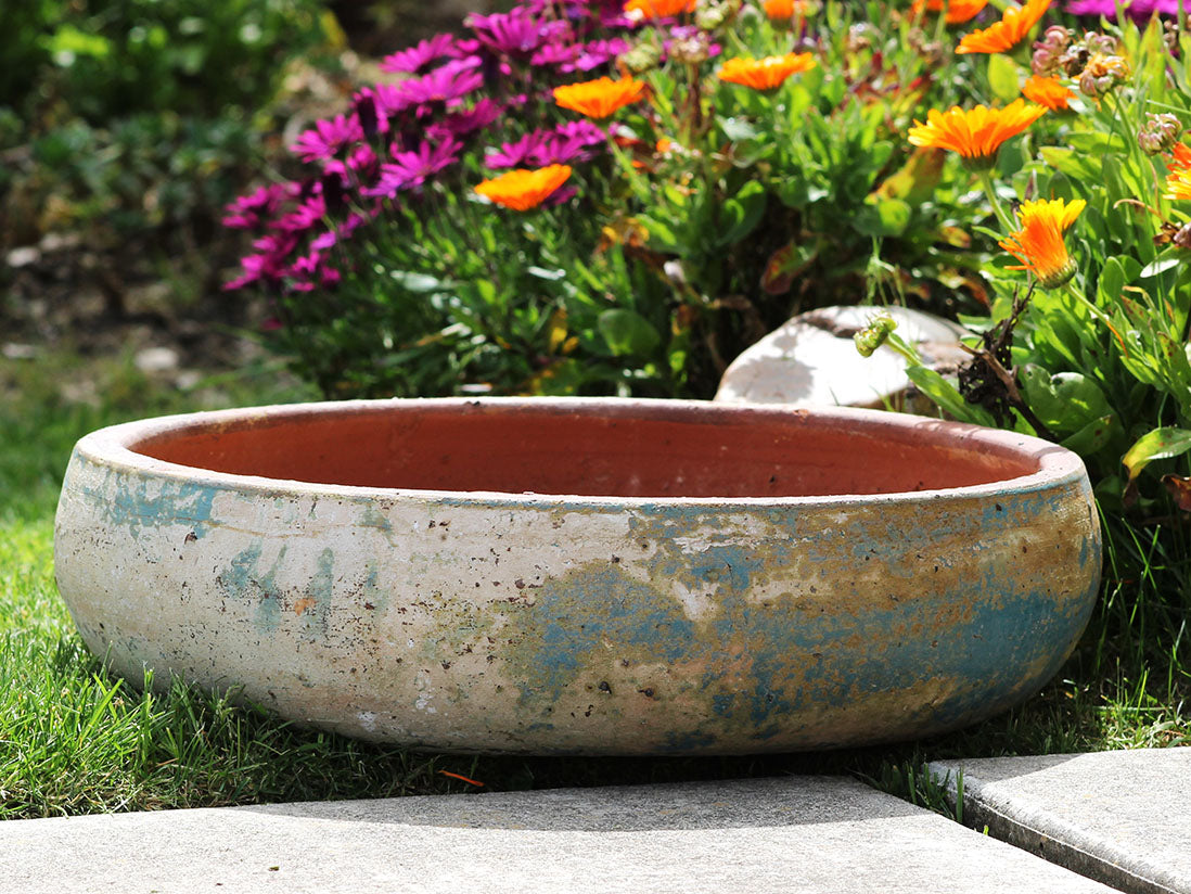 Succulent Bowl-Set of 3 By Plantatorem