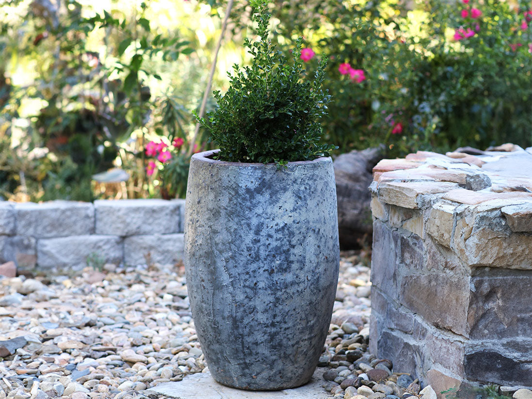 Olive No Rim Jar By Plantatorem