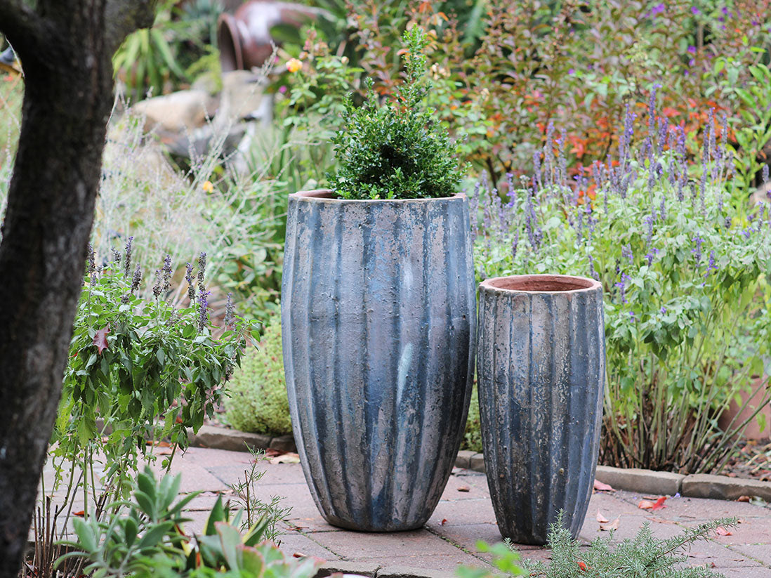 Vase del Meson- Set of 2 By Plantatorem