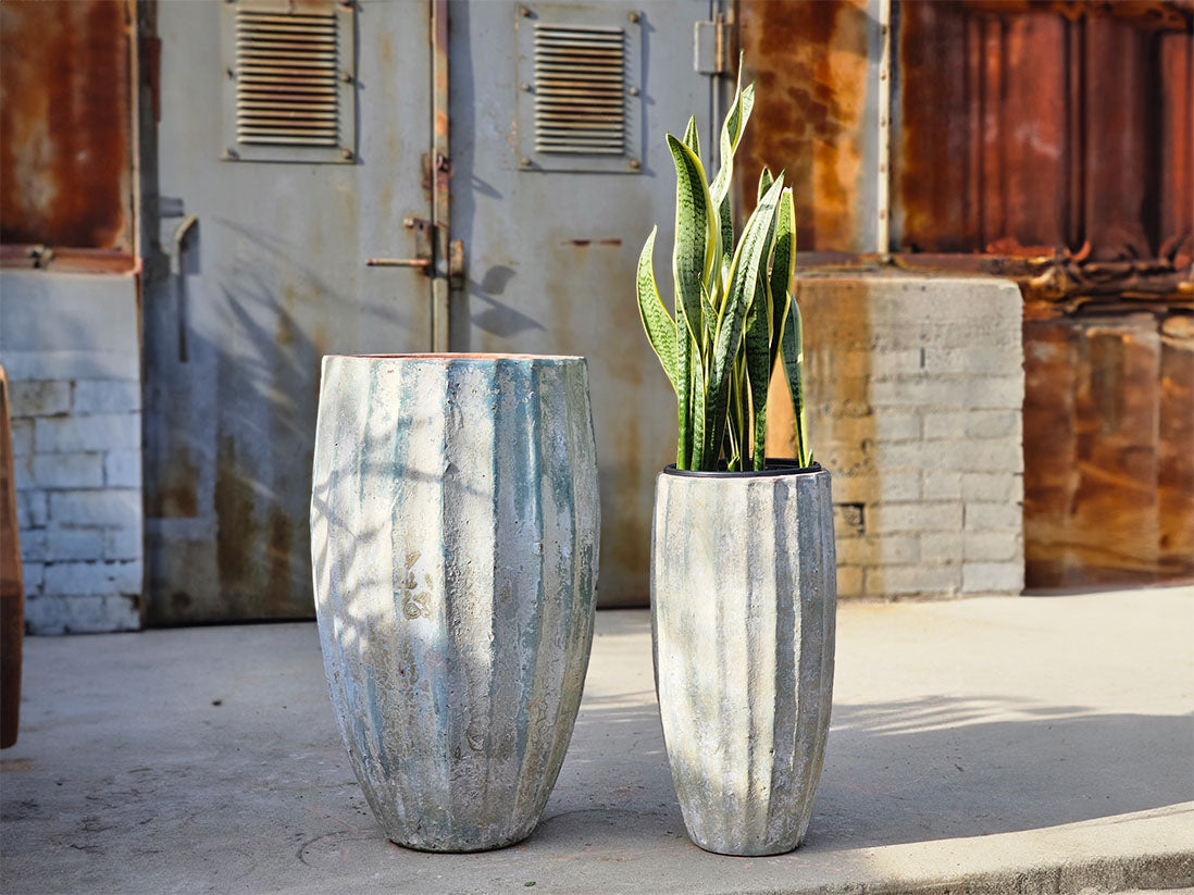 Vase del Meson- Set of 2 By Plantatorem
