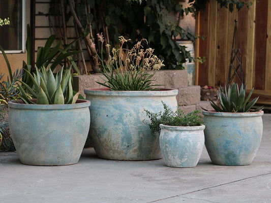 Standard Garden Pot- Set of 4 By Plantatorem