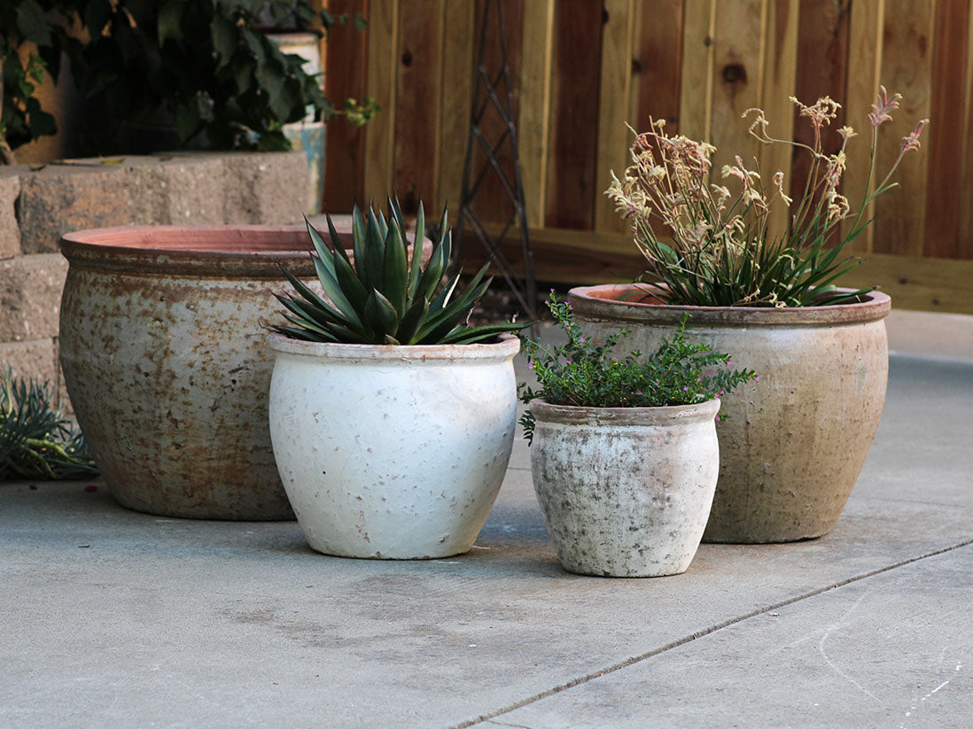 Standard Garden Pot- Set of 4 By Plantatorem