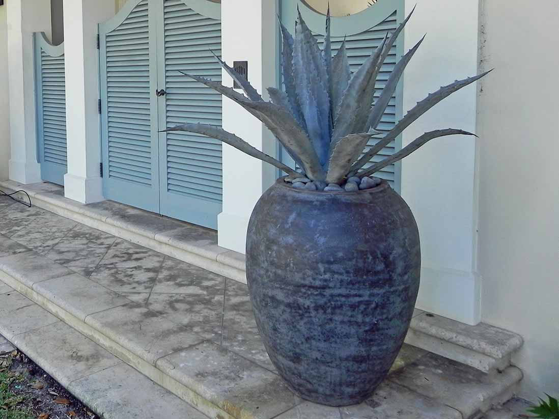 Single Water Jar By Plantatorem