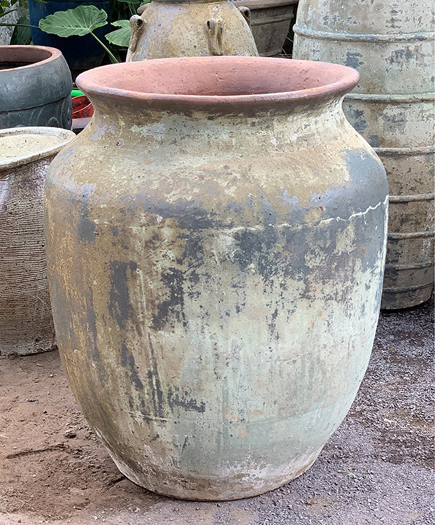 Mediterranean Cantaro By Plantatorem