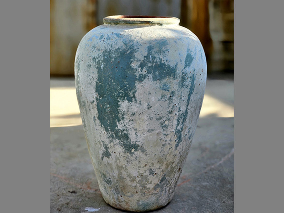 Ancient Wine Jar By Plantatorem