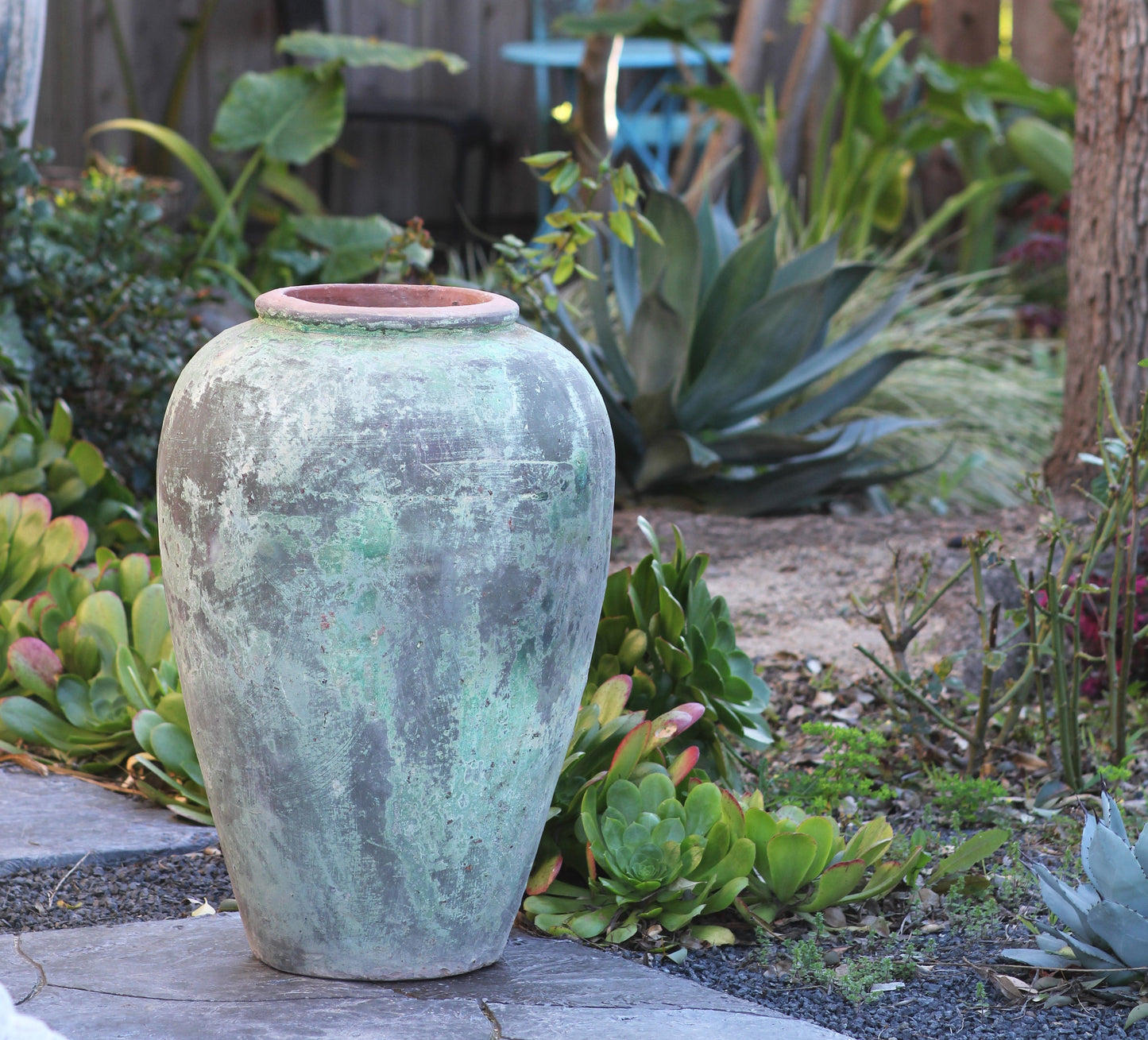 Ancient Wine Jar By Plantatorem