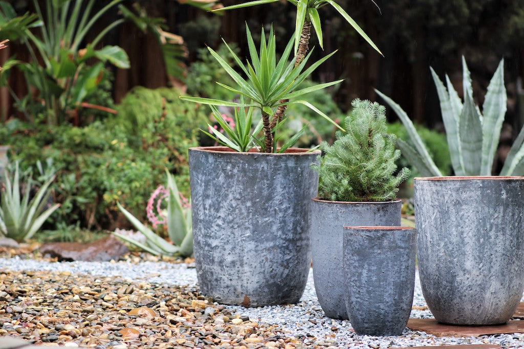 Milano Tall Barrel Planter - Set of 4 By Plantatorem
