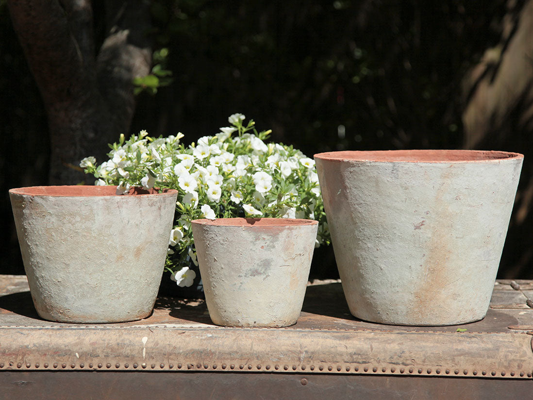 Hand Thrown Planter- Set of 3 By Plantatorem