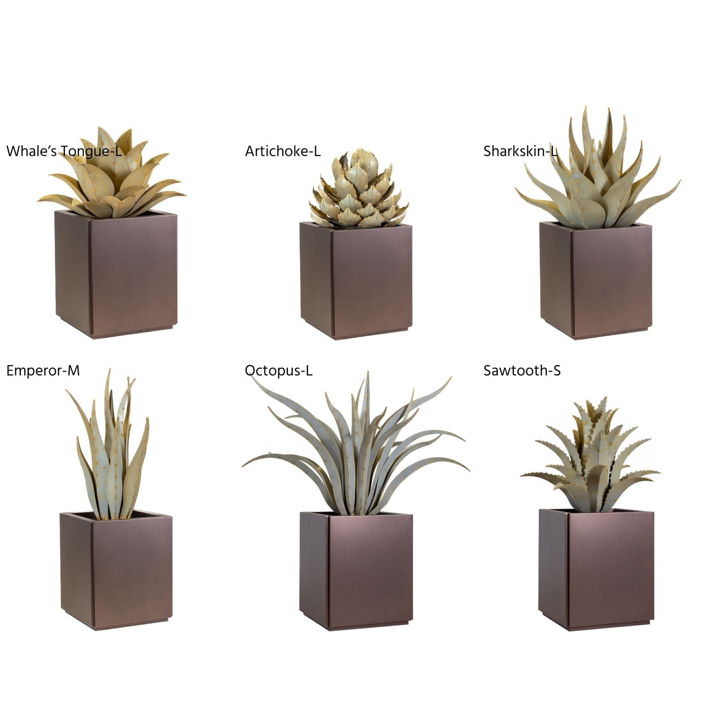 Shea Planter