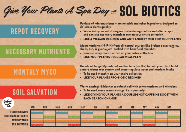 Sol Biotics - Monthly Myco