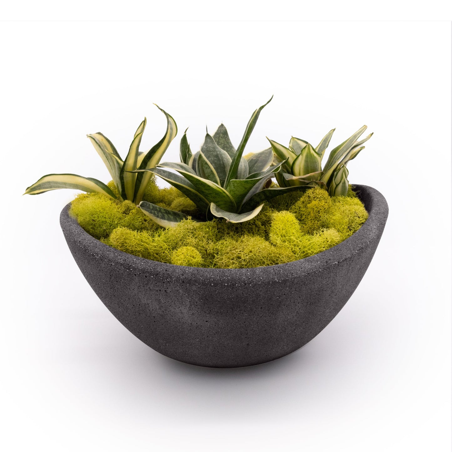 Concrete Wave Tabletop Planter