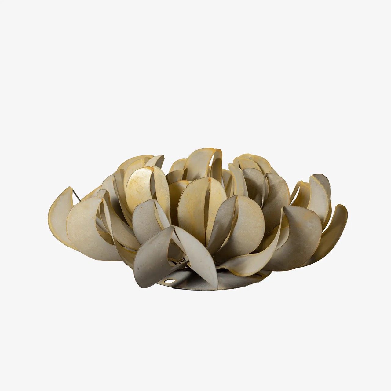 Topsy Turvy Succulent
