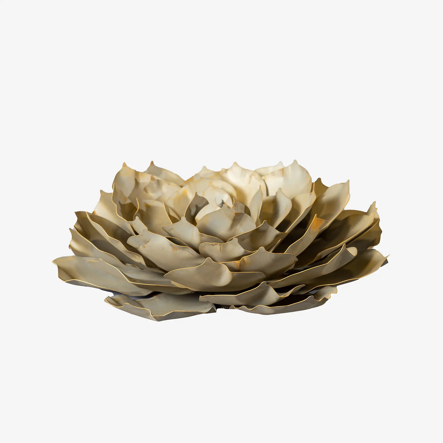 Blue Rose Succulent