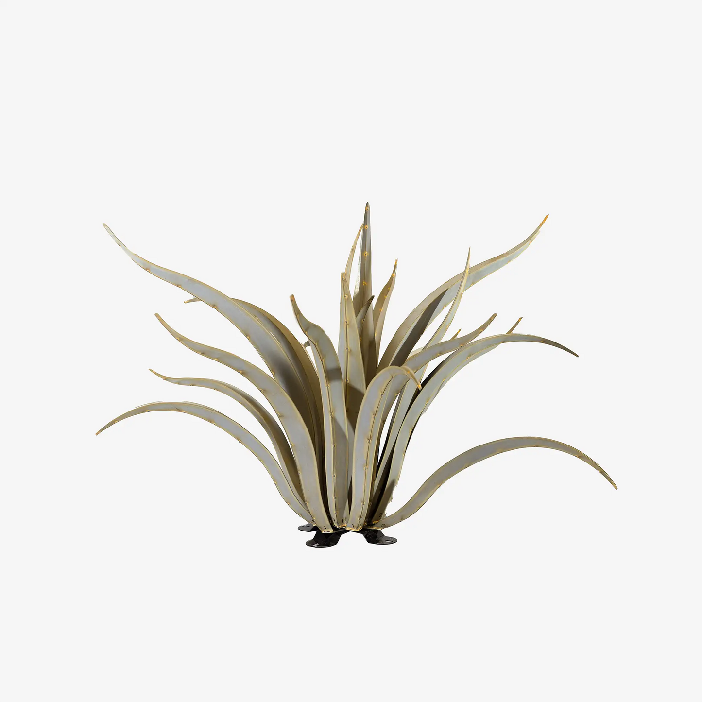 Octopus Agave