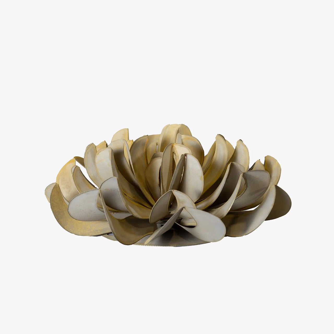 Topsy Turvy Succulent