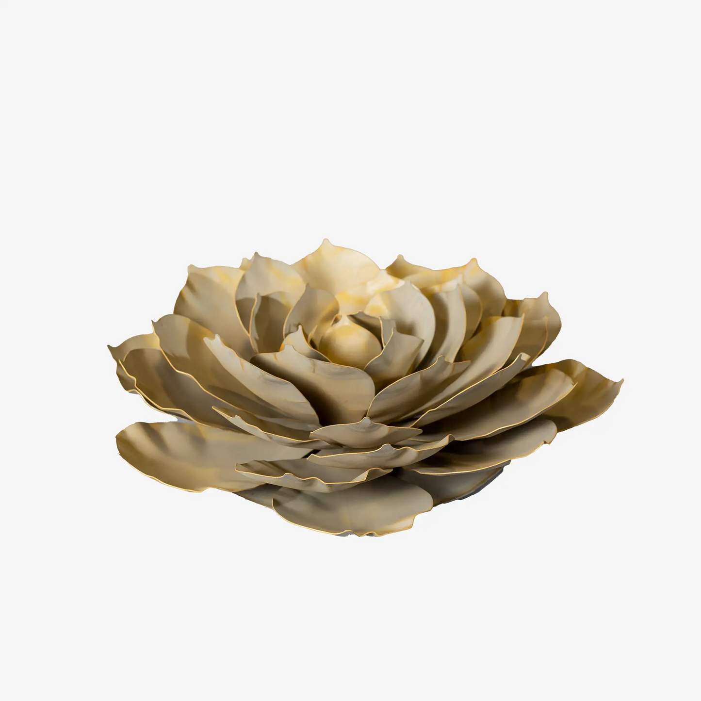 Blue Rose Succulent