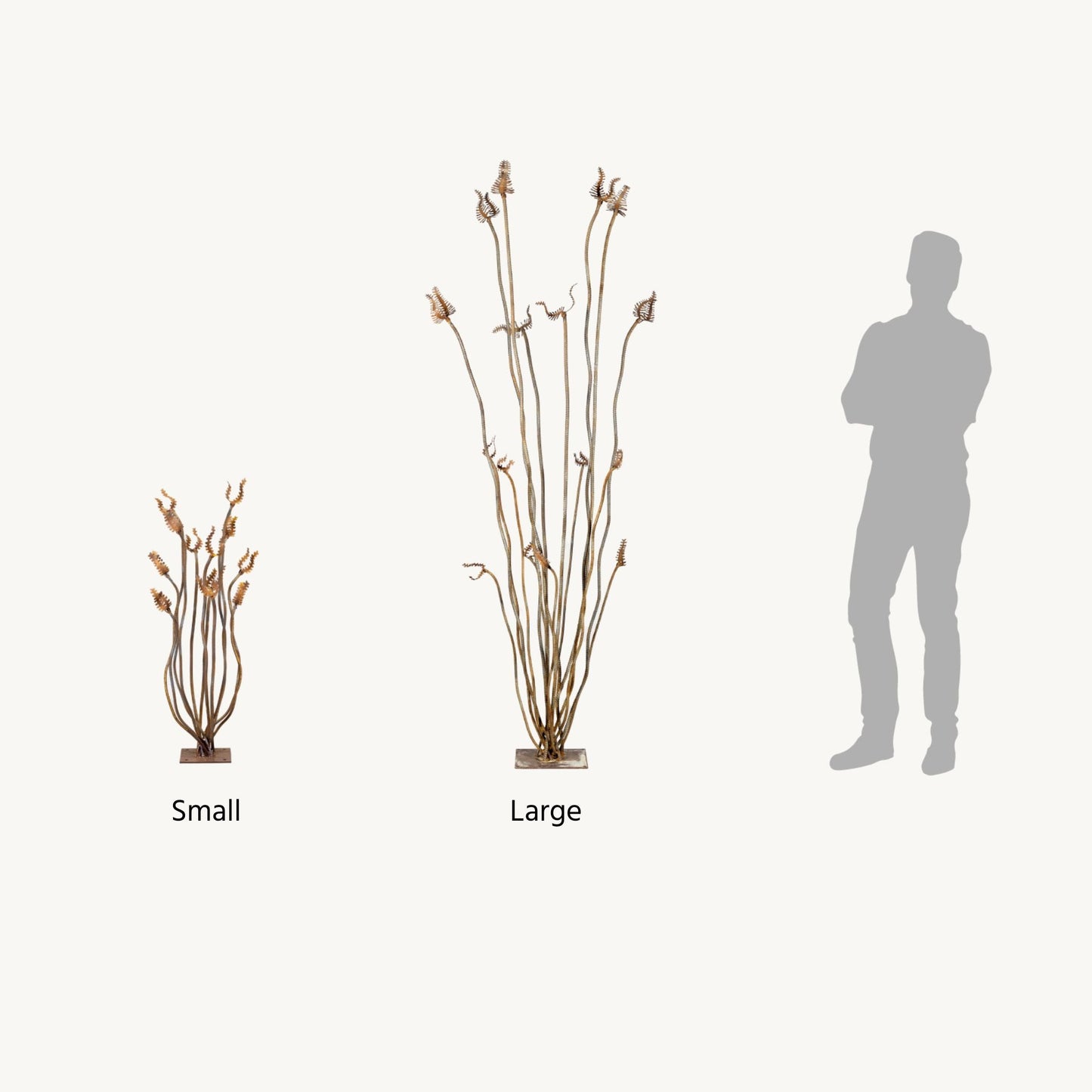 Ocotillo
