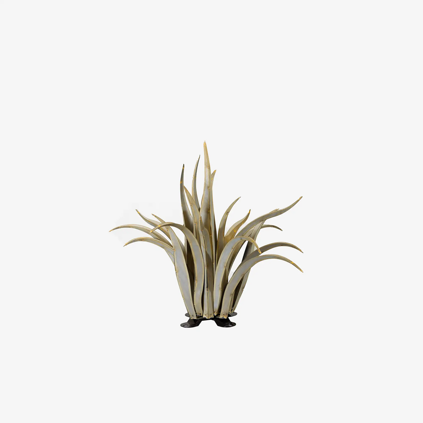 Octopus Agave
