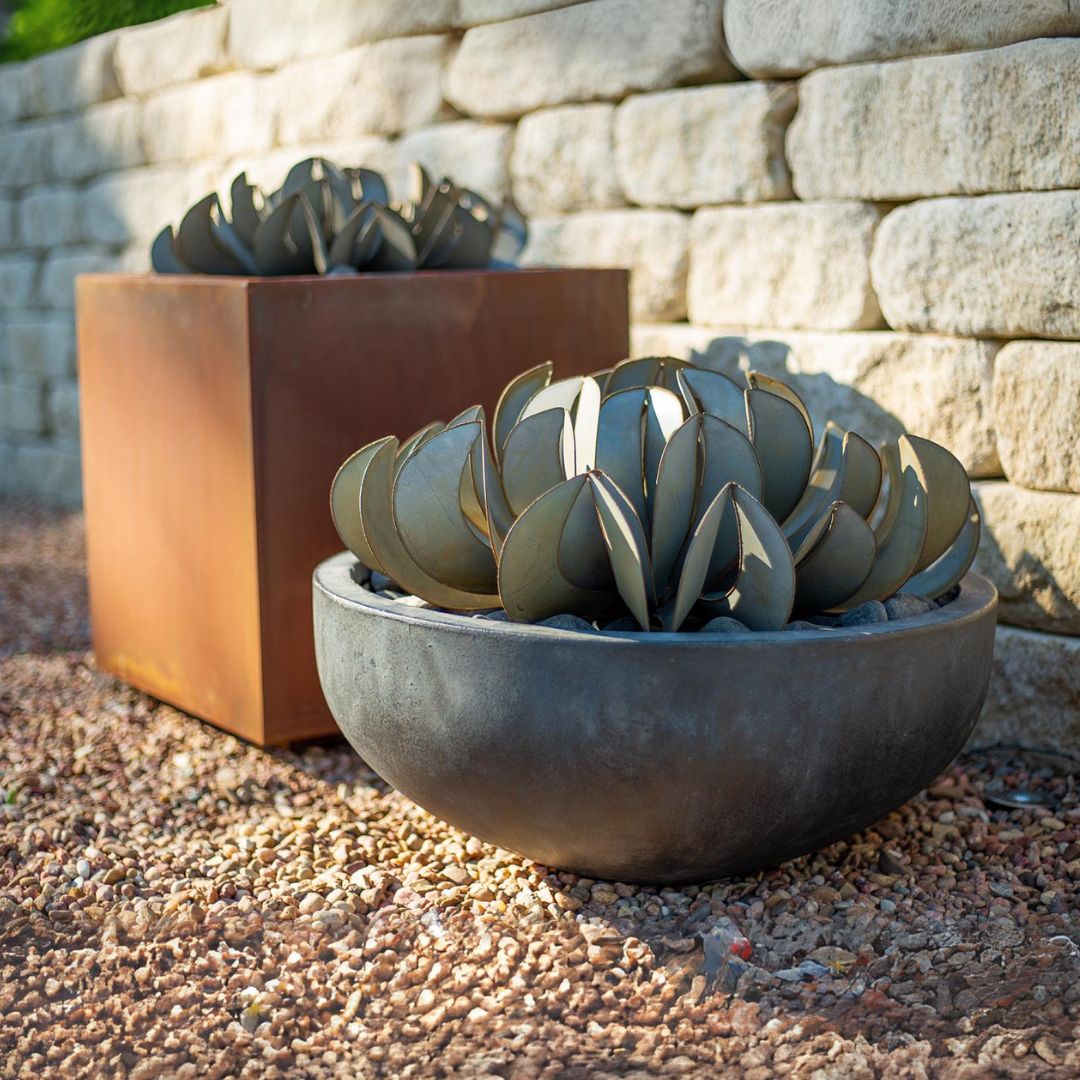Topsy Turvy Succulent