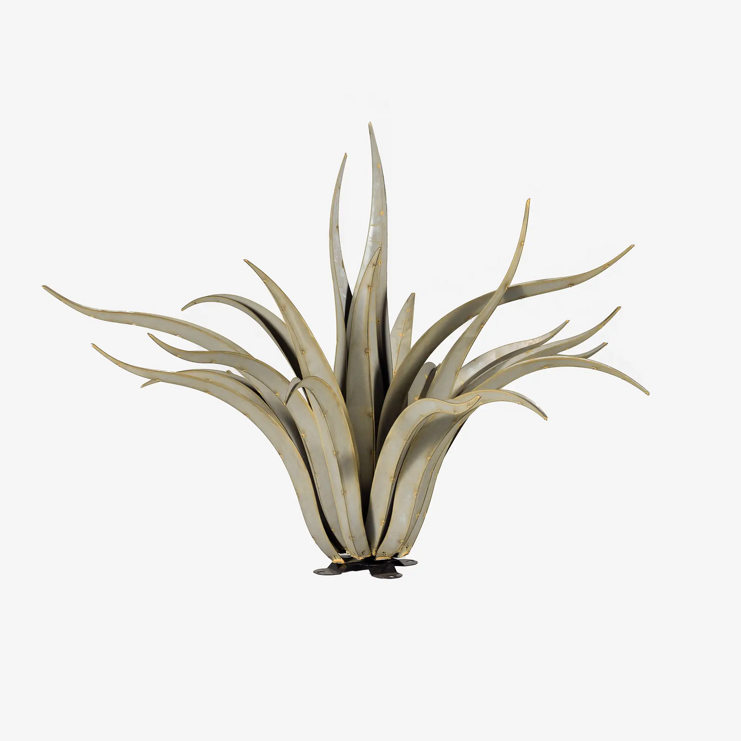 Octopus Agave