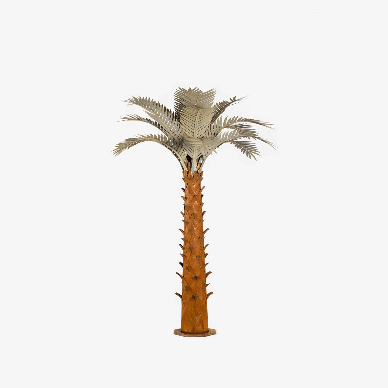 Paradise Palm
