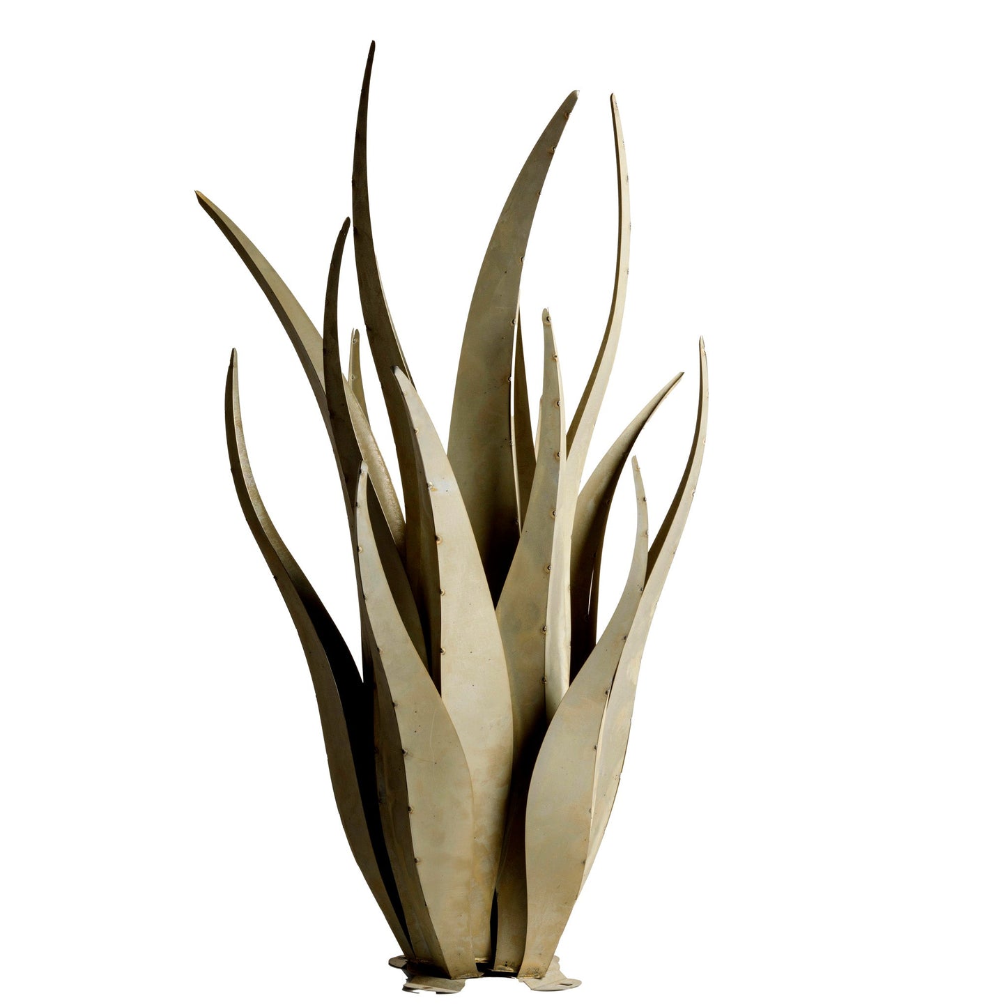 Emperor Agave