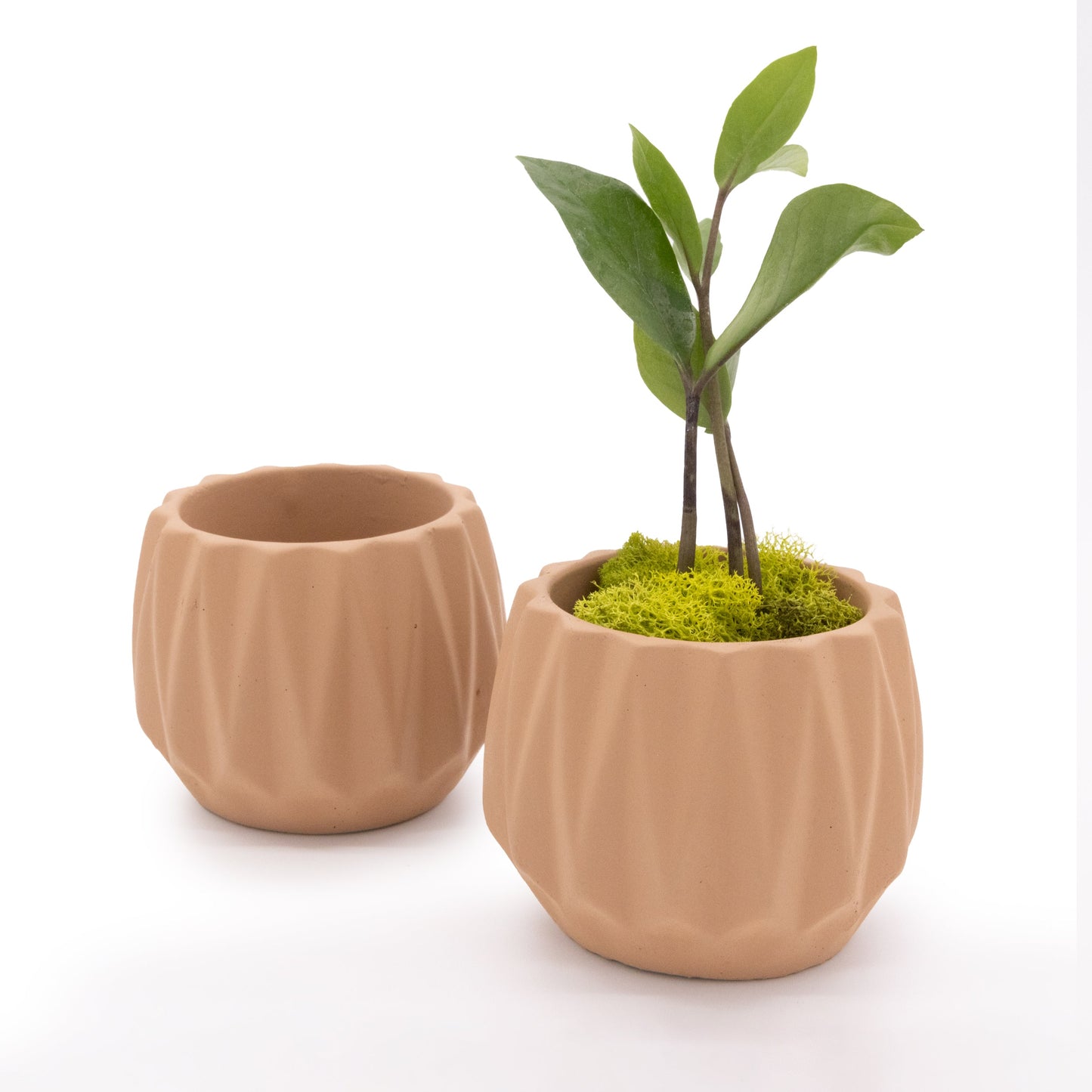 Concrete Mini Flute Tabletop Planters (Set of 2)