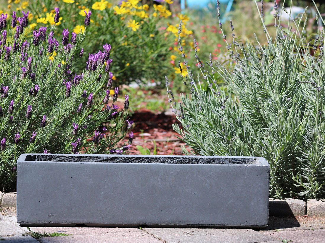 Red hood Table Box By Plantatorem
