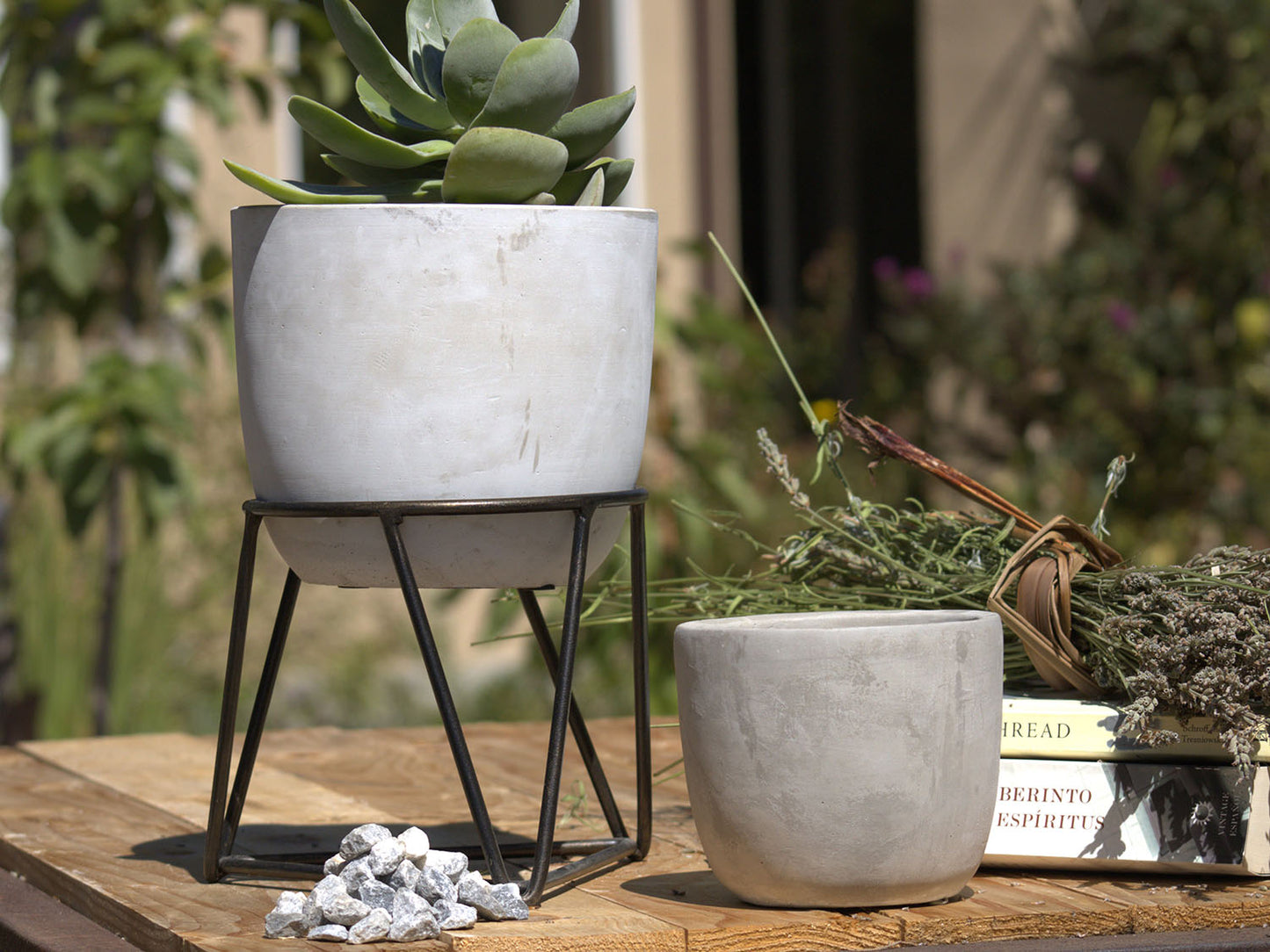 Bell Curve Concrete Planter By Plantatorem
