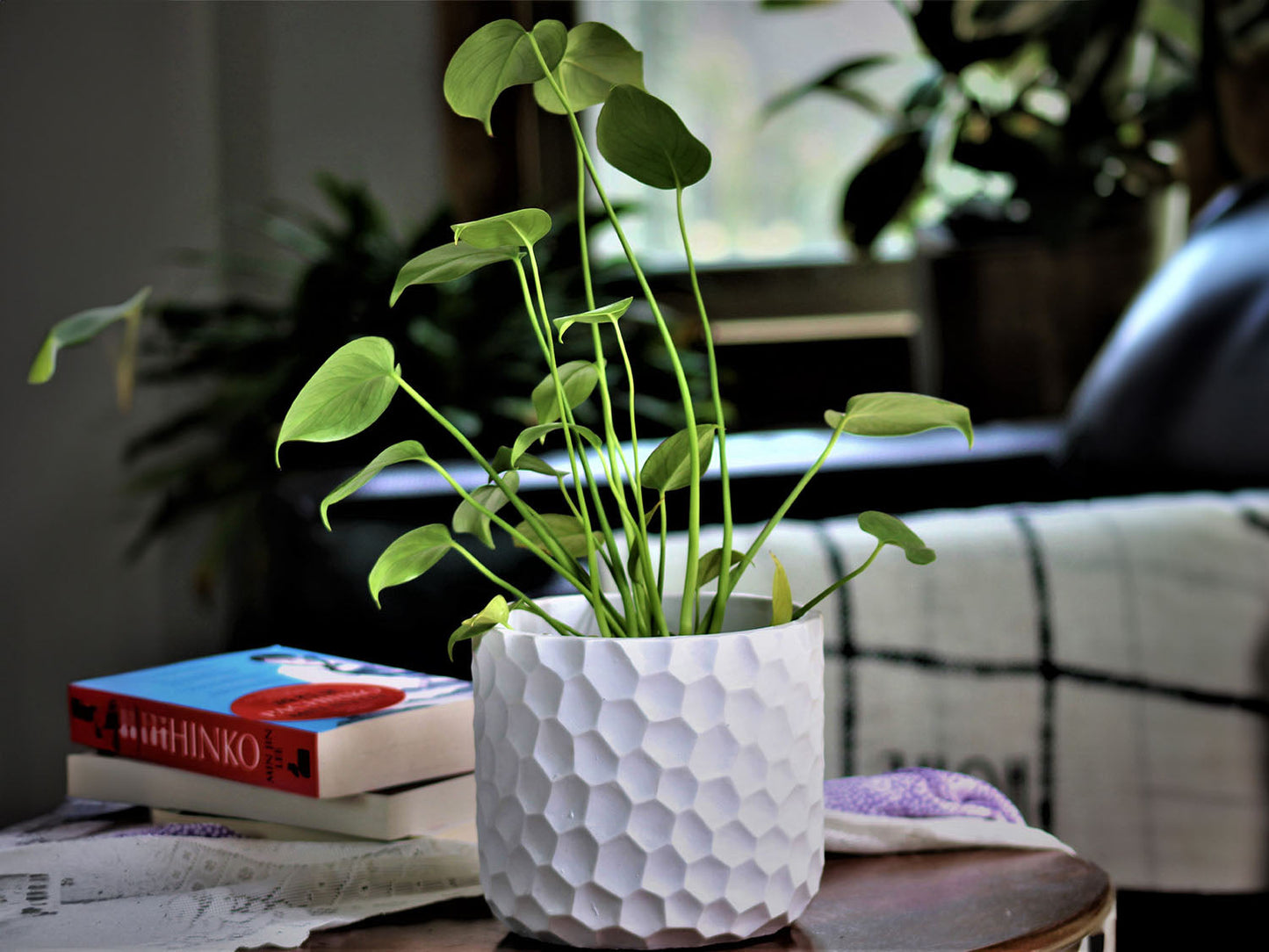 Art Decor Honeycomb Planter By Plantatorem