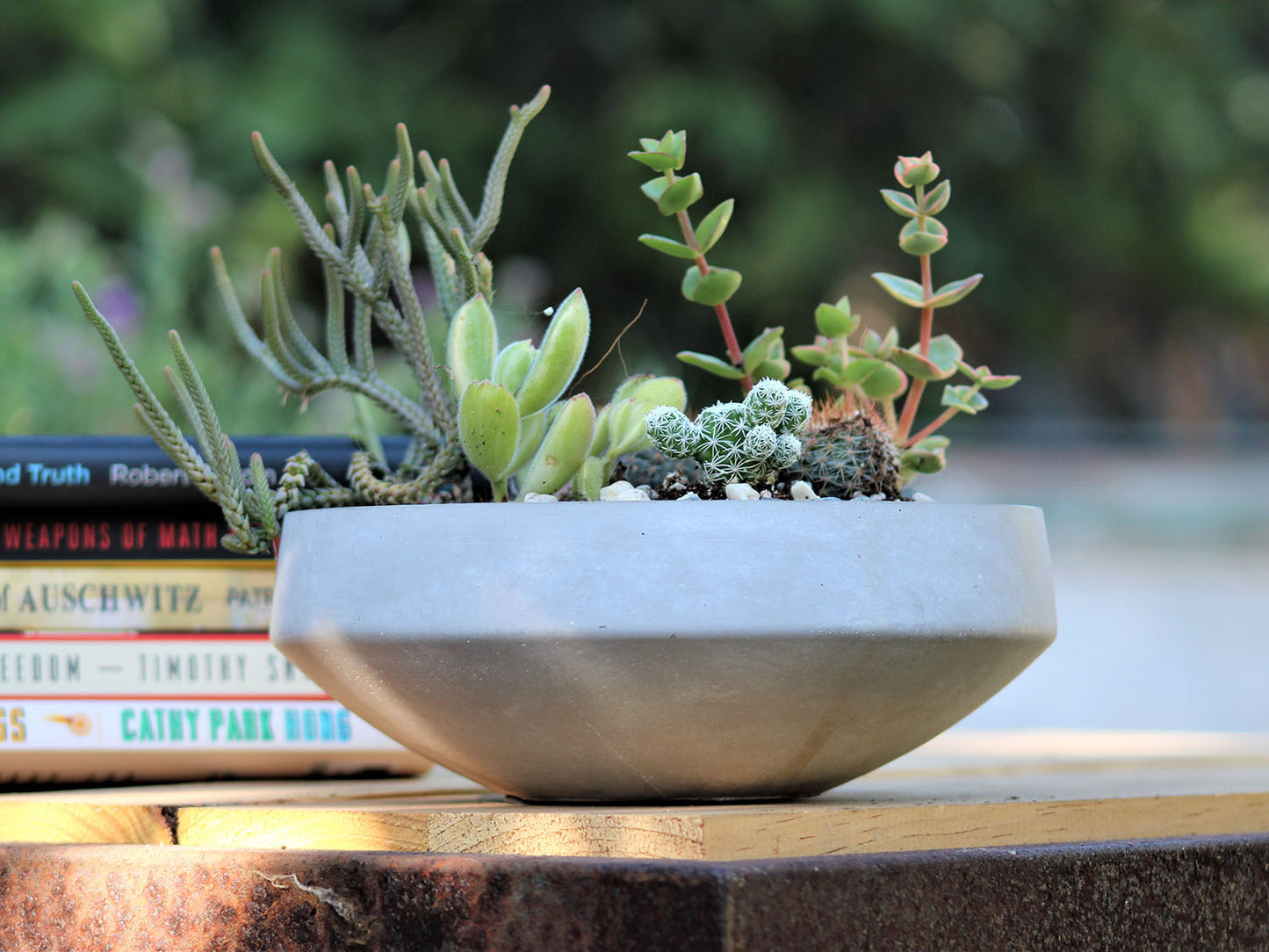 Geometry Low Sphere Planter By Plantatorem