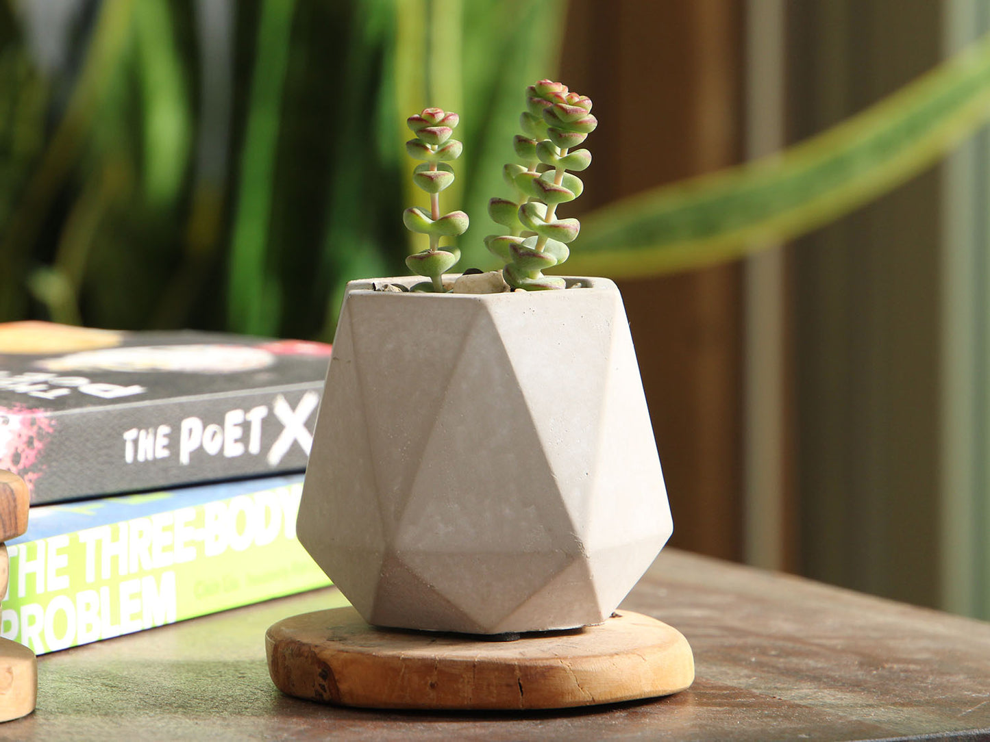 Geometry Skyline Tumbler Planter By Plantatorem