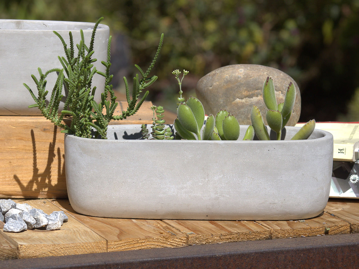 Low Oval Concrete Planter By Plantatorem