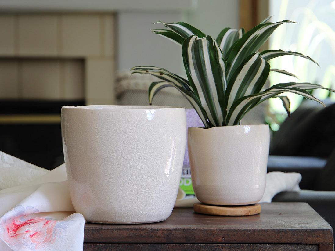 Jewel Freeform Planter By Plantatorem