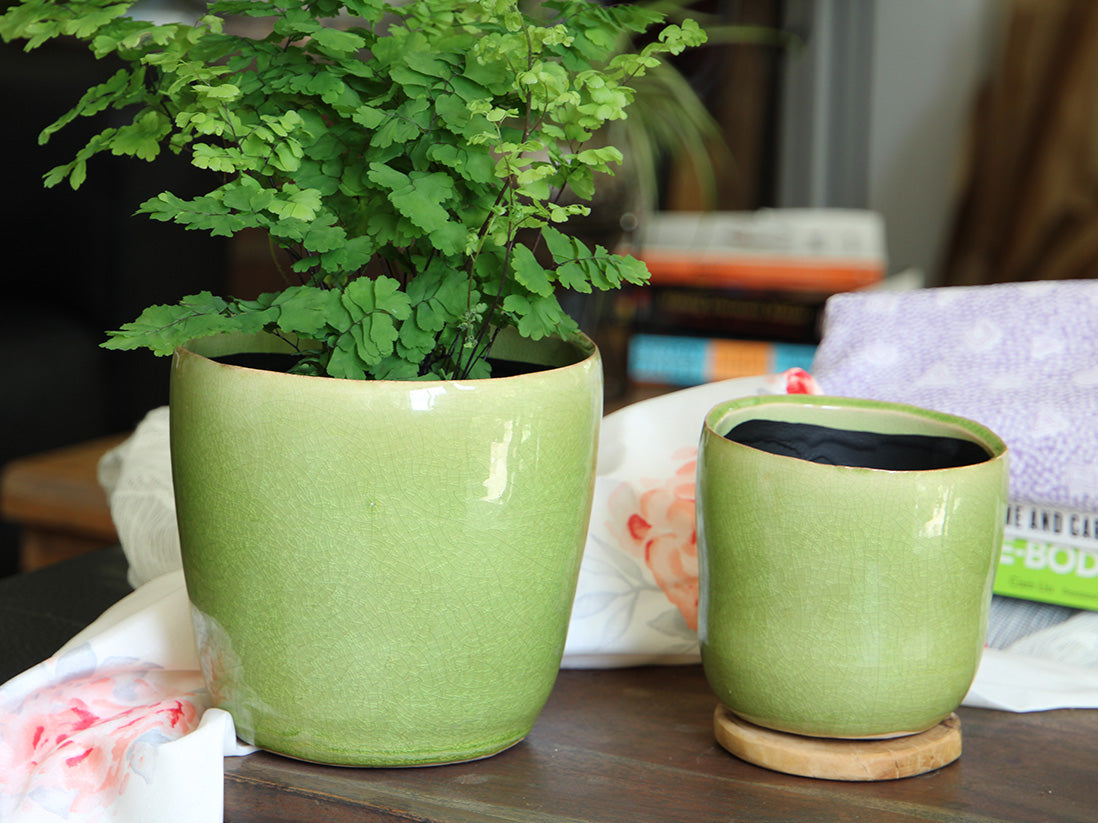 Jewel Freeform Planter By Plantatorem