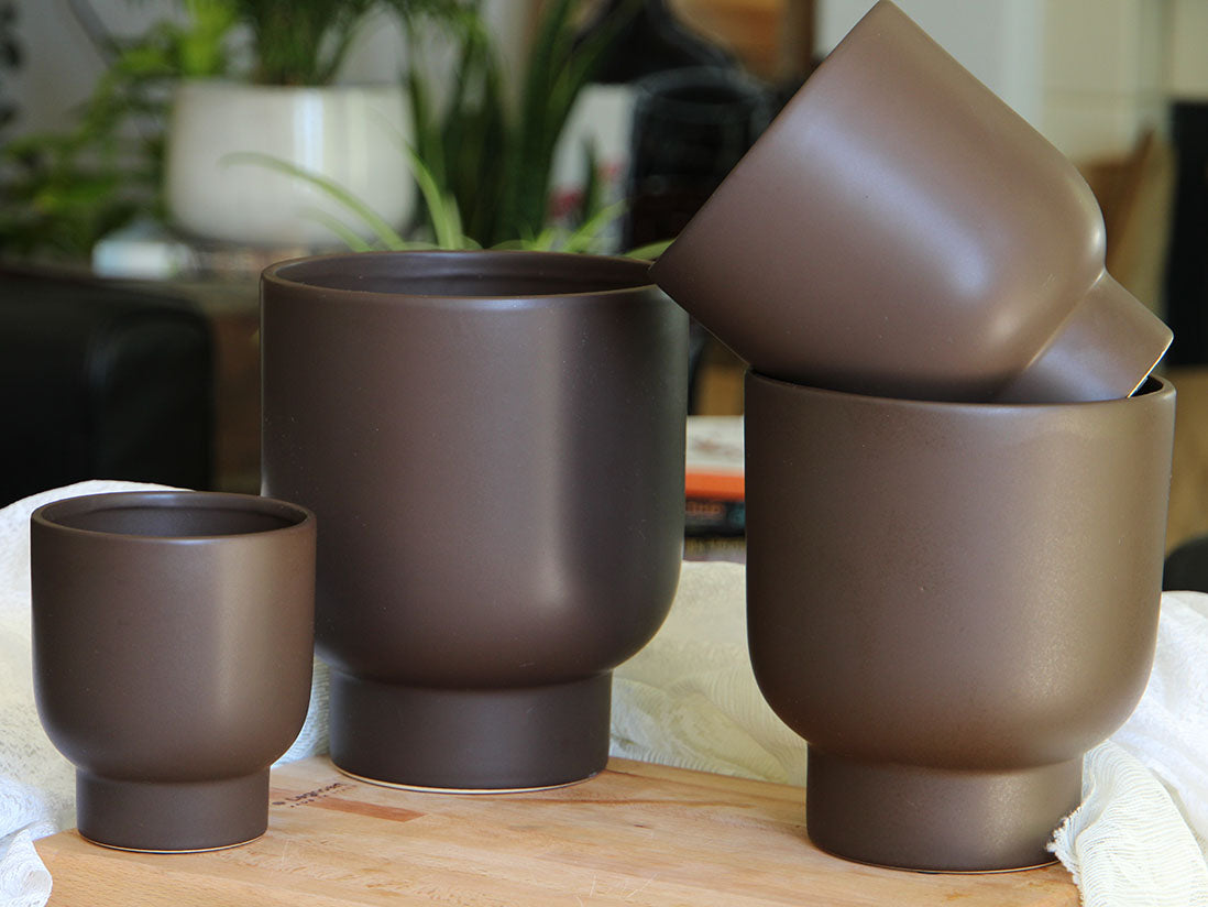 Monstera Cache Pot- 4.5" x 5.0" By Plantatorem