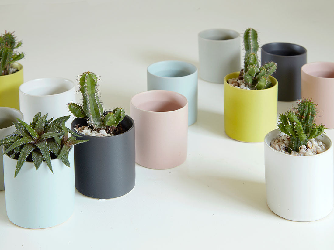 Cylinder Cache Pot- 3.0" x 3.0" By Plantatorem