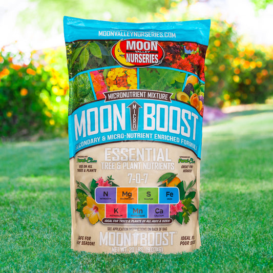 MOON MICRO BOOST®