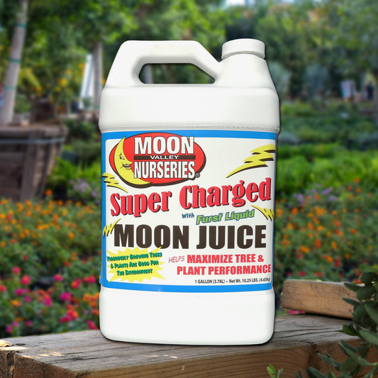 SUPER CHARGED MOON JUICE®