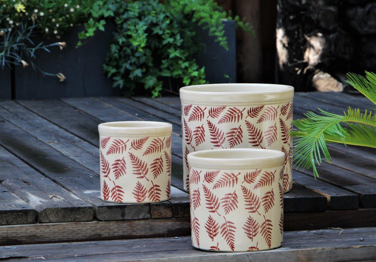 Fern Planters By Plantatorem