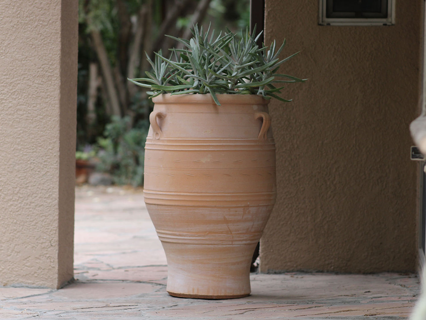 Pithari Planter By Plantatorem